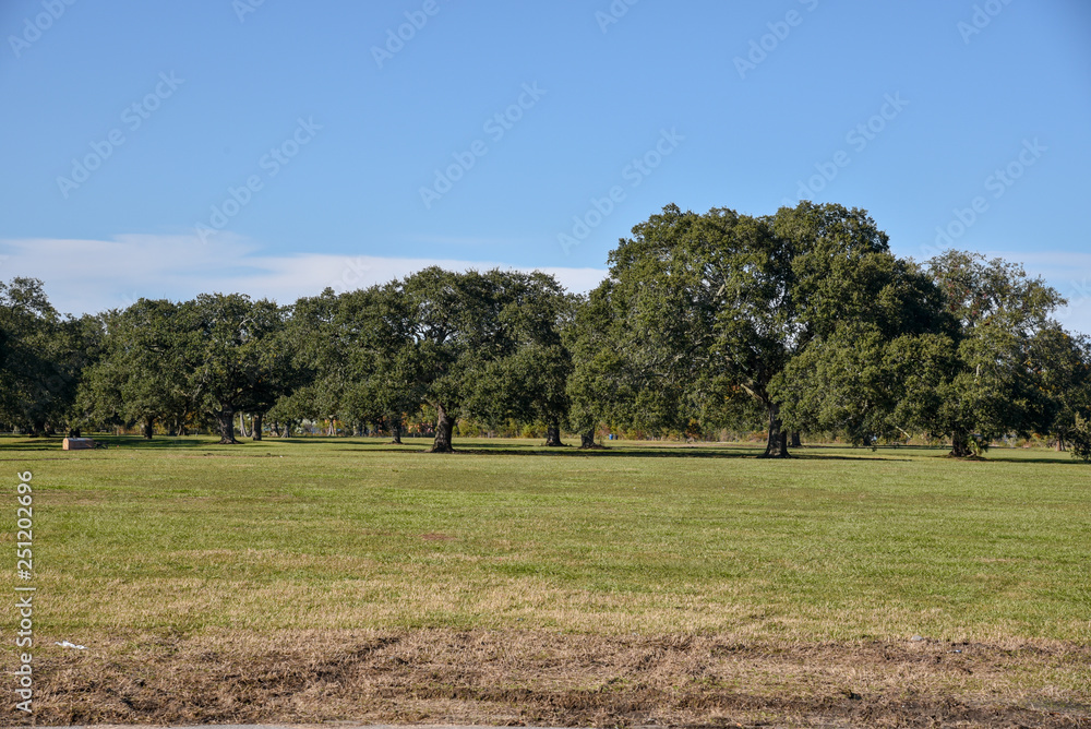 New Olreans City Park from a Bike