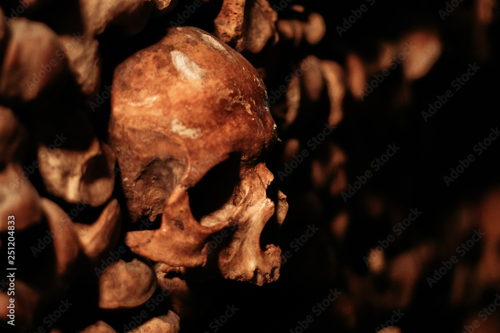 The Paris Catacombs The Paris Catacombs