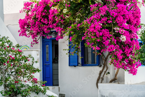 The typical cyclades style with colorful flowers in Parikia town on Paros island, Greece photo