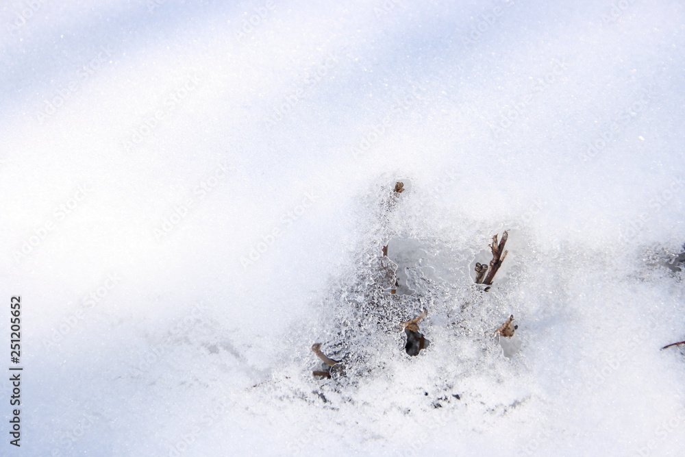 Melting snow at the end of winter Melting snow at the end of winter