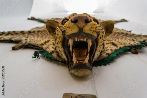 Obraz na plátně Leopard skin as an ornament in a palace