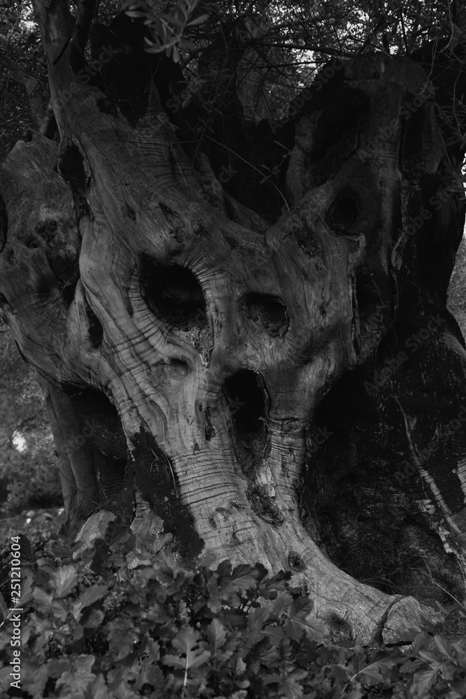 the screaming tree the screaming tree