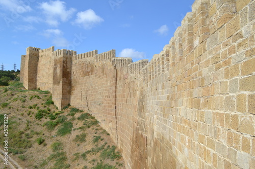 wall of castle