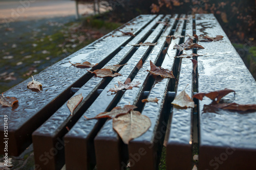 Leaves on a wet bench at rainy autumn day in Finland.