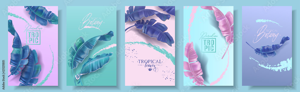 Vector banners set of banana tropic leaf - obrazy, fototapety, plakaty 