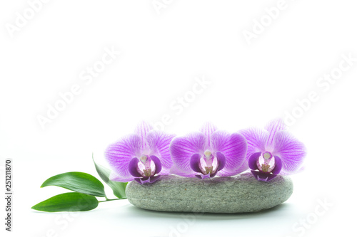 Concept od beauty and freshness - three purple orchid blossoms on grey roundstone and green leaves isolated on white background