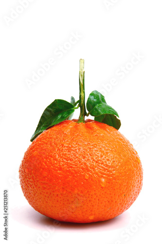 Clementine,madarin Orange ,citrus isolated and close up on white background.