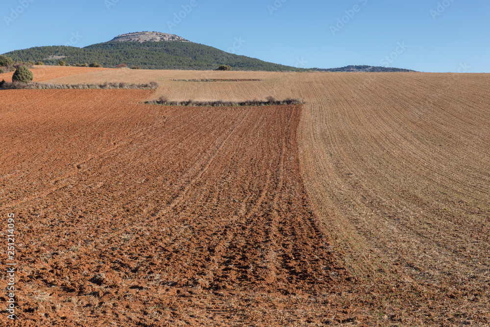 Farm fields Farm fields