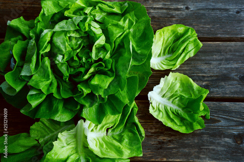 colorful and fresh of Butterhead lettuce with shadow on wooden background.