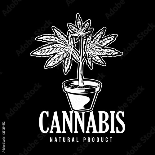 Cannabis natural product 