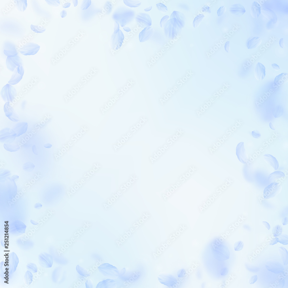 Light blue flower petals falling down. Gorgeous ro Light blue flower petals falling down. Gorgeous ro
