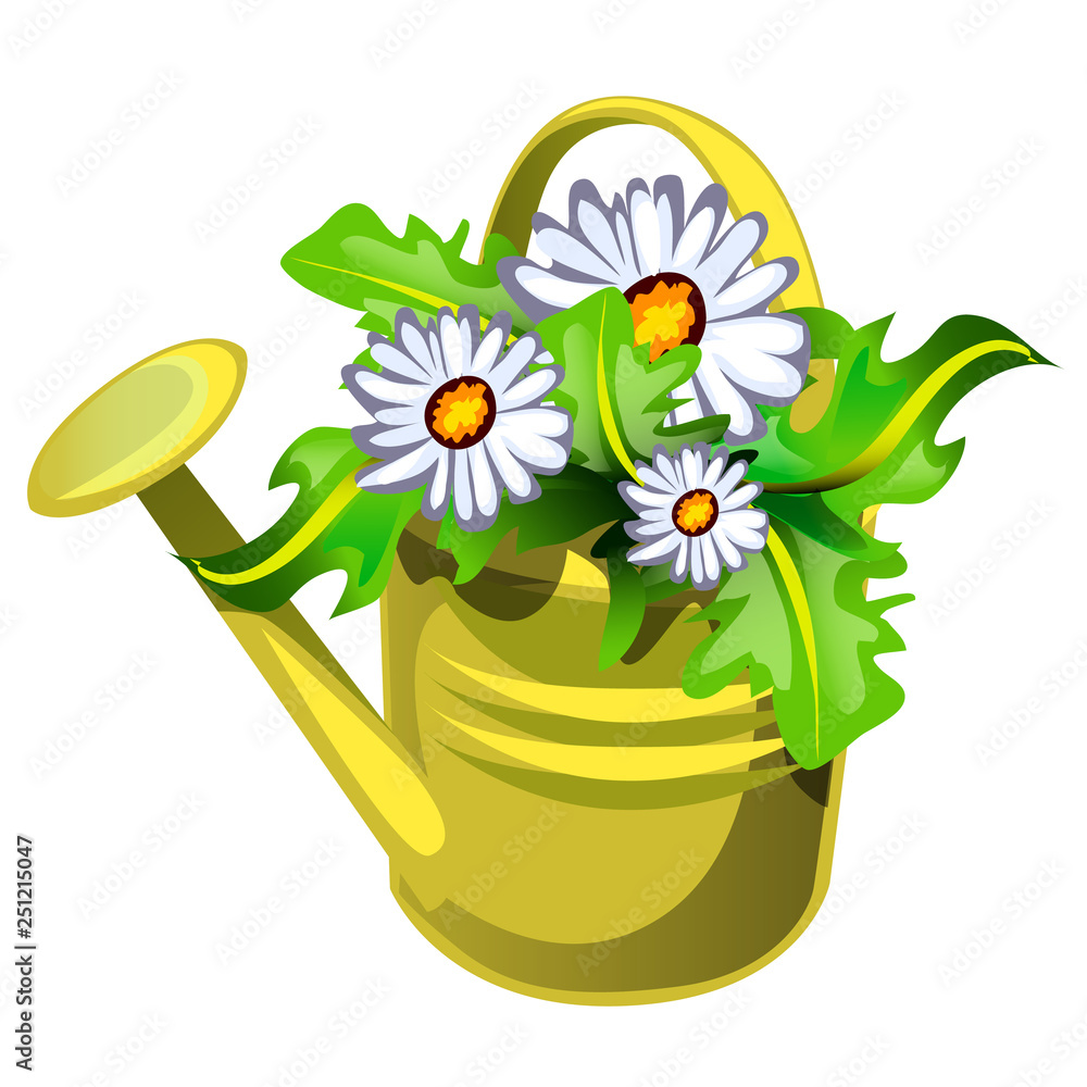 Flower pot in the shape of a watering can yellow color with flowers daisies  isolated on white background. Vector cartoon close-up illustration. Stock  Vector | Adobe Stock