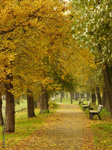 Luxembourg garden autumn in the park