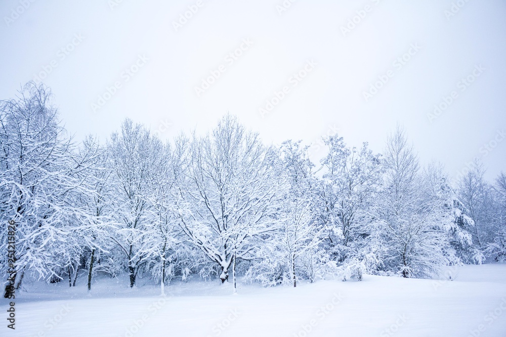 A winter in Germany