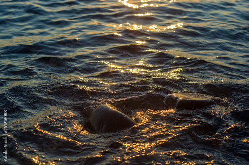 pebble stones on the sea beach, the rolling waves of the sea with foam