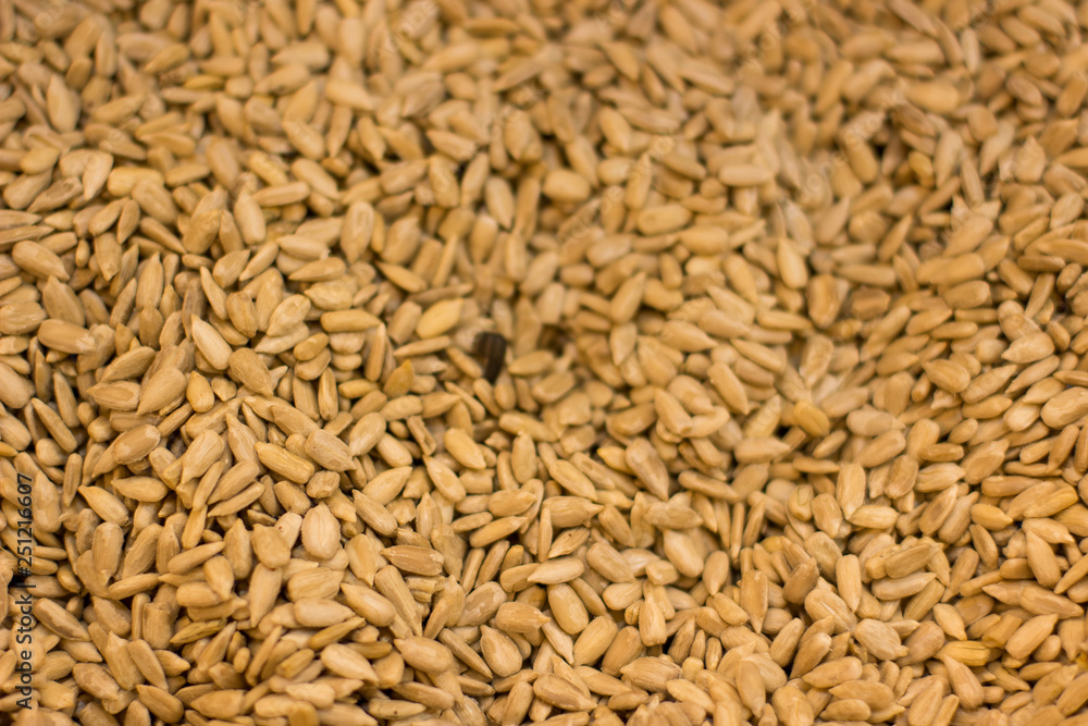 fried cleaned sunflower seeds food concept background surface in market mall fried cleaned sunflower seeds food concept background surface in market mall