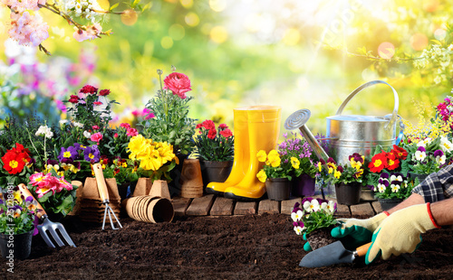 Gardening - Equipment For Gardener And Flower Pots In Sunny Garden