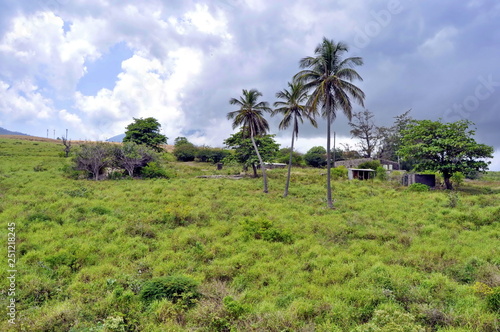 Landscape of St. Kitts
