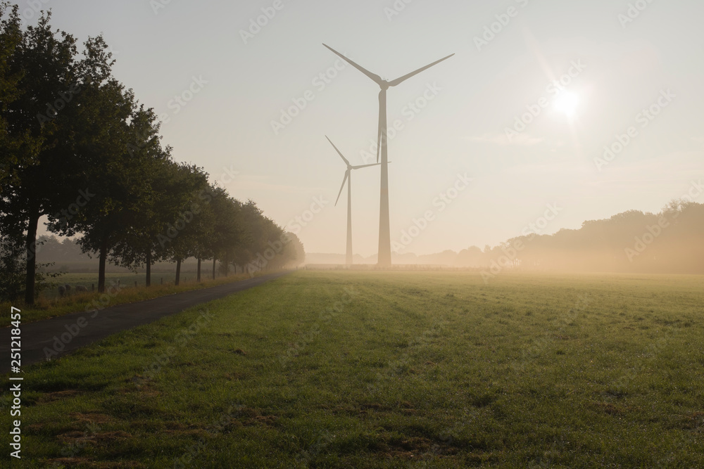 Obraz premium wind farm