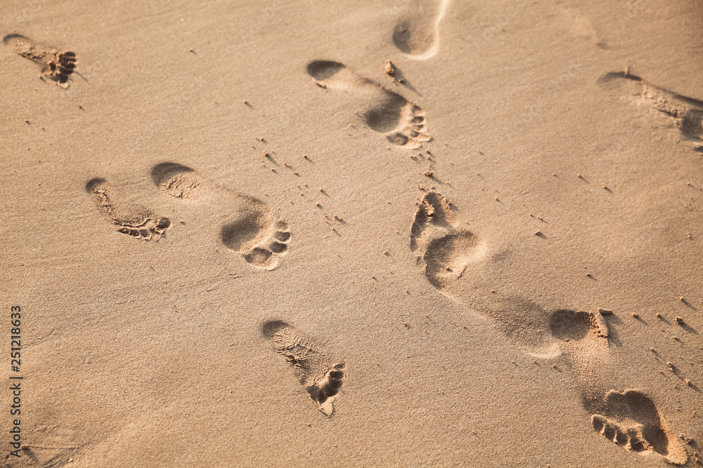 Footprints of bare feet on the wet sand Footprints of bare feet on the wet sand