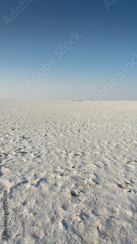 Salt desert Kutch  Gujarat India