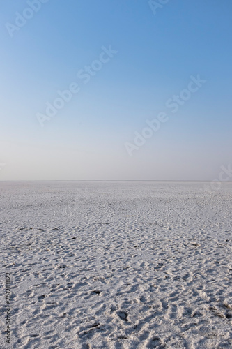 Salt desert Kutch  Gujarat India