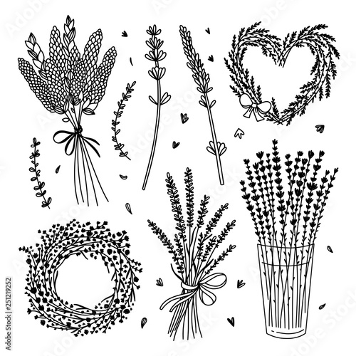 Botanical vector illustrations on white background. Flowers, plants, wreaths vintage style graphic elements