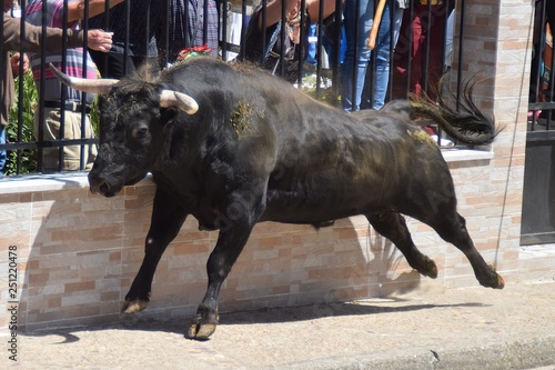 toro español