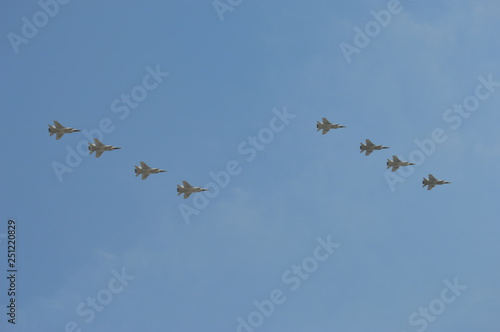 flock of birds flying in the sky