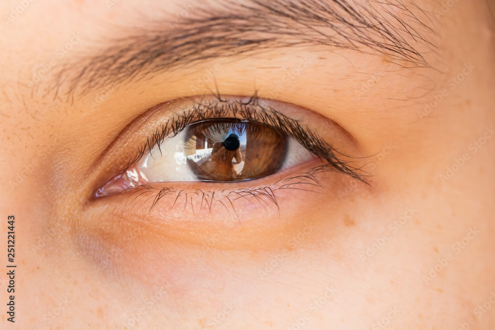 Obraz premium Close-up macro of beauty female brown eye with perfect shape eyebrows. Beautiful clean skin, fashion natural makeup. Good vision, lenses