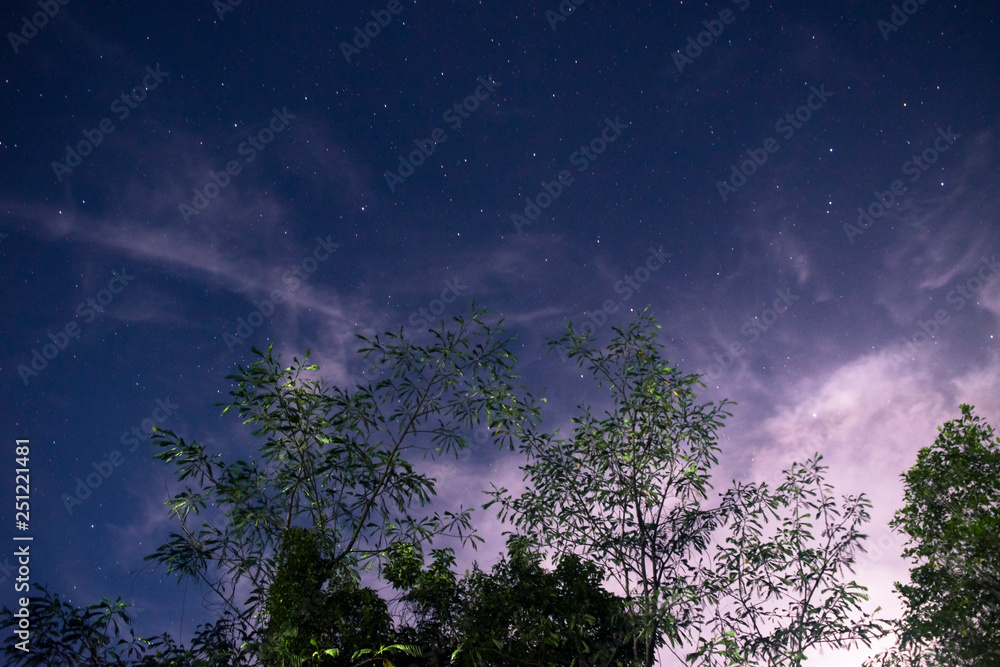 Fototapeta premium moon and trees