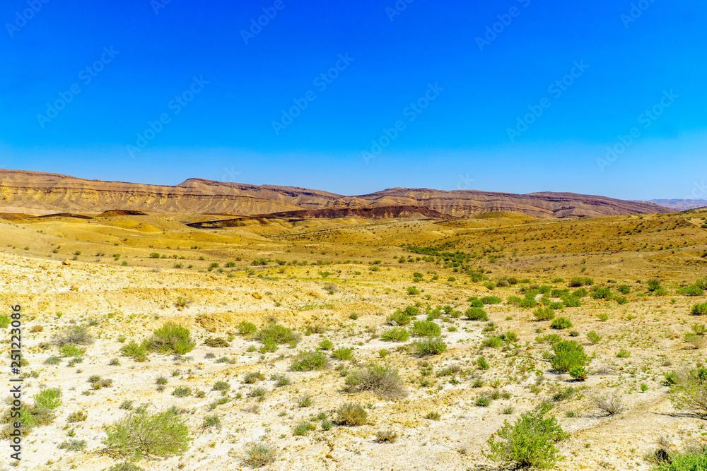 Landscape of HaMakhtesh HaGadol