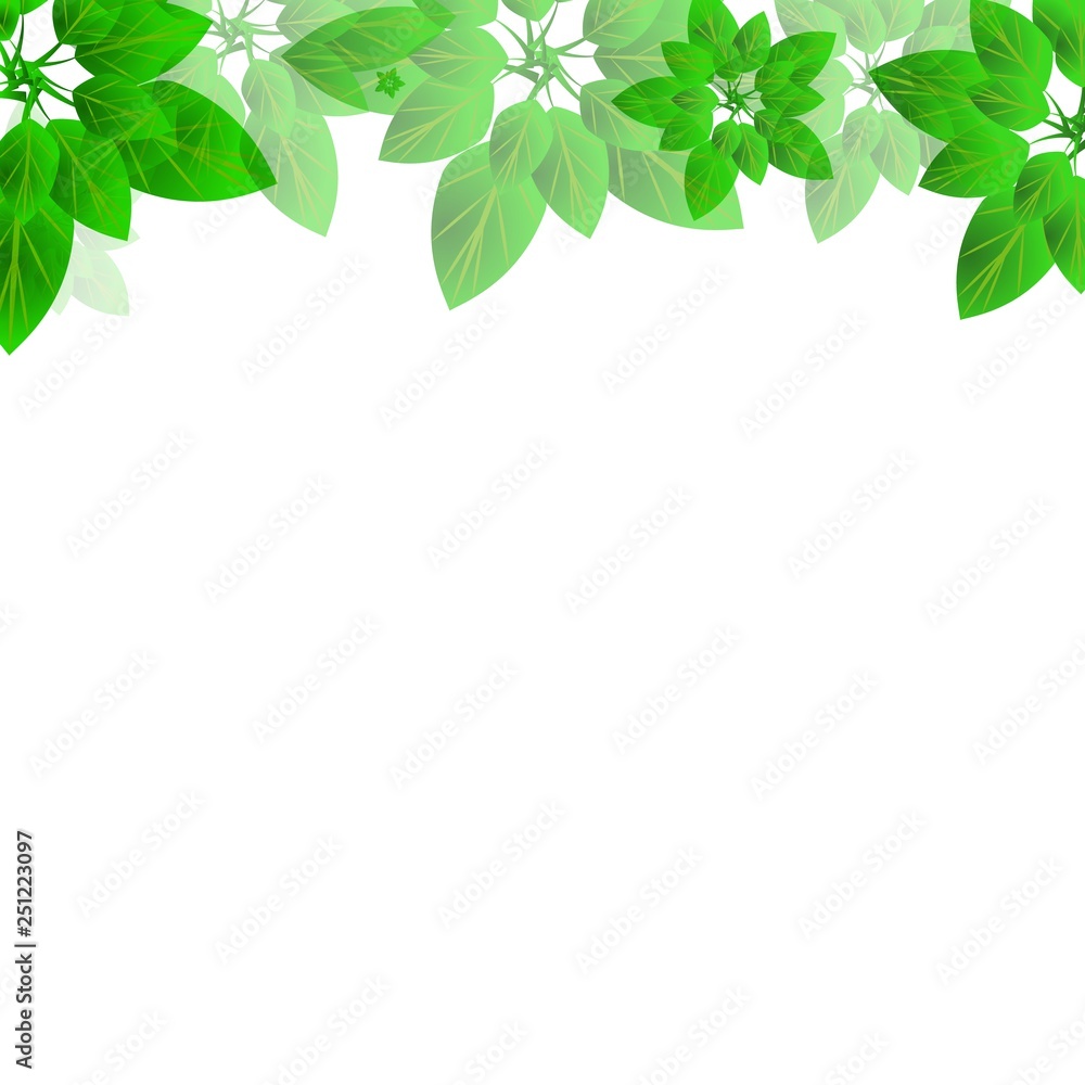 Summer or spring leaves banner vector concept