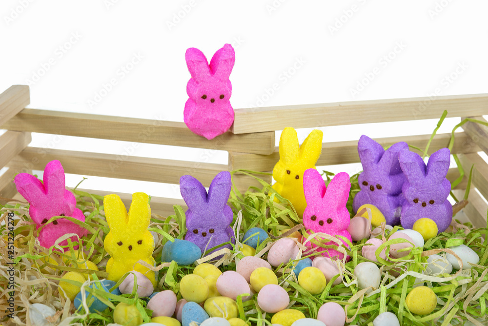 Obraz premium colorful Easter bunny candy with pastel eggs and wooden fence
