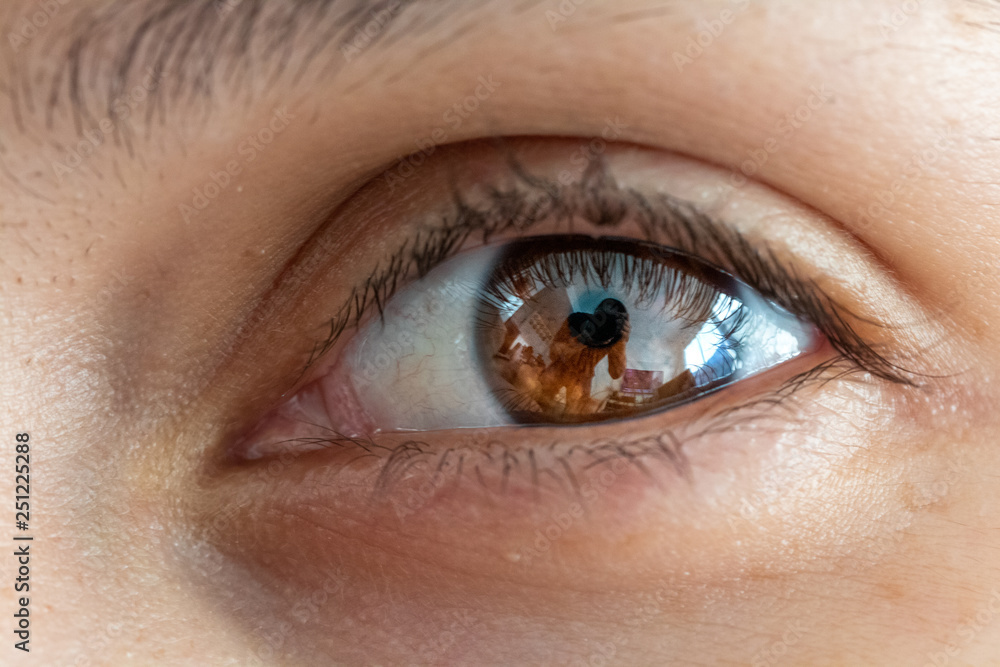 Close-up macro of beauty female brown eye with perfect shape eyebrows. Beautiful clean skin, fashion natural makeup. Good vision, lenses Close-up macro of beauty female brown eye with perfect shape eyebrows. Beautiful clean skin, fashion natural makeup. Good vision, lenses