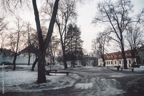 Vilnius winter park with trees and european architecture on backdrop