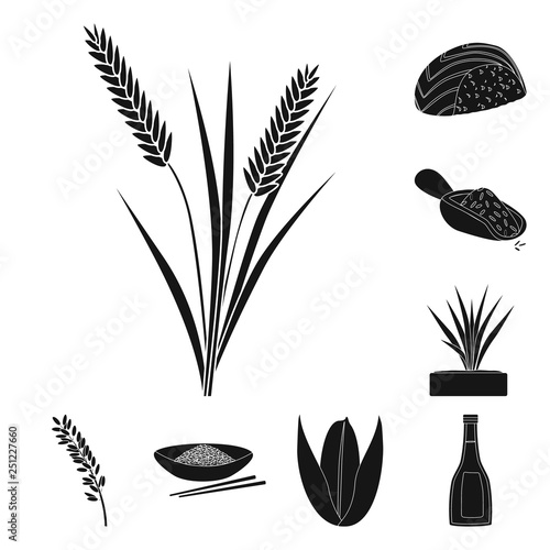 Vector illustration of diet and cooking icon. Collection of diet and organic stock symbol for web.