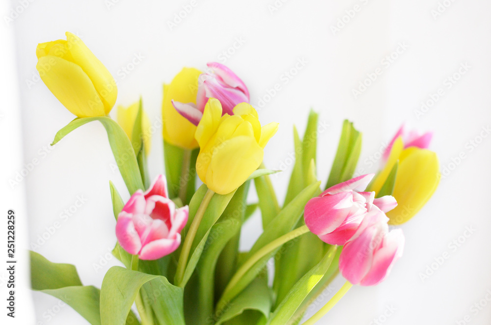 colorful tulip flowers background, blurred flowers.