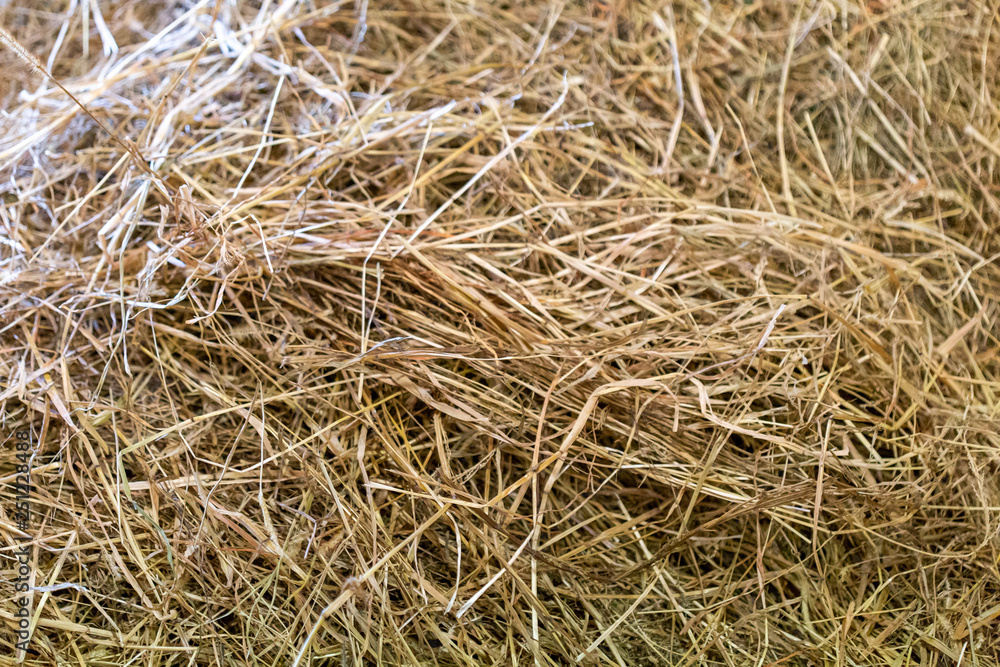 Close up of hay