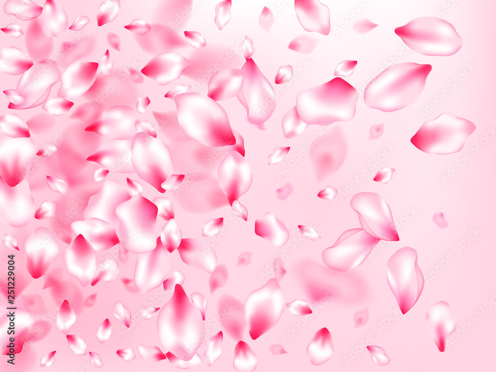 Spring tree flowers parts, airy flying petals Spring tree flowers parts, airy flying petals