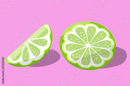 green lime on pink background vector illustration. juicy bright citrus fruit
