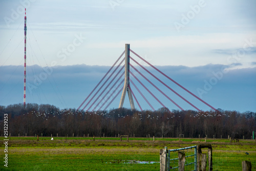 Brücke