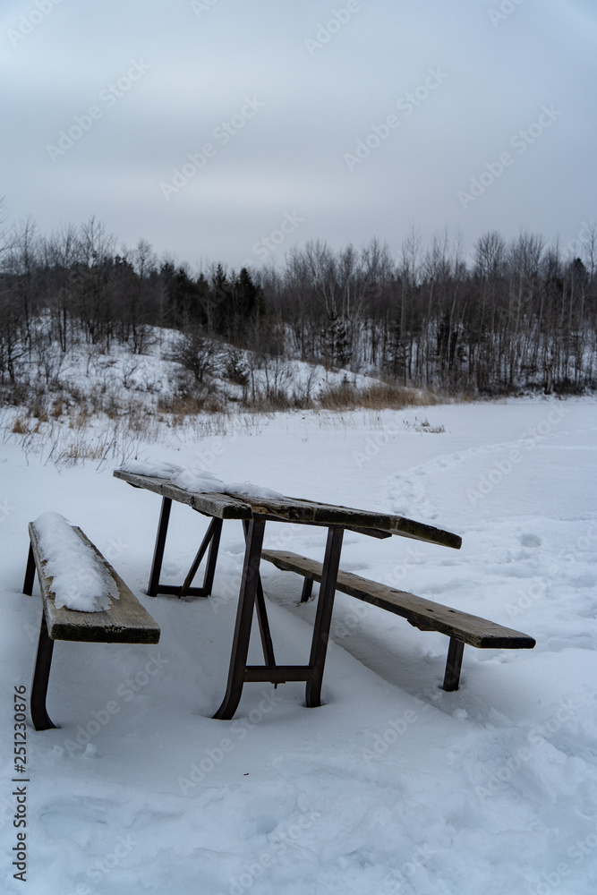 custom made wallpaper toronto digitalWinter picnic table nature outdoors landscape park