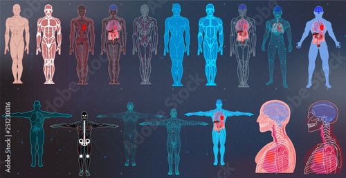 X-Ray Body Collections in Futuristic HUD SCI Style. Modern Scan of Internal Ograns and Human Body. Healthcare Images ( Structure and Arrangement of Organs and DNA Formula) Hud Sci vector collection