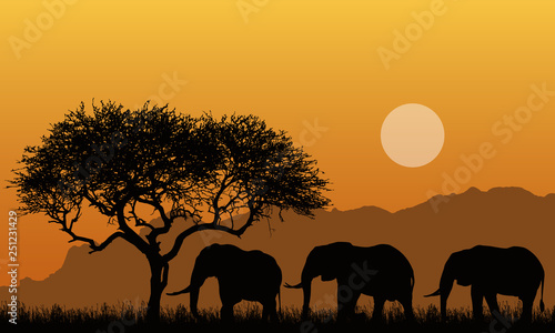 Illustration of silhouettes of mountain landscape of african safari with tree, grass and three elephants. Below the orange sky with the sun, vector
