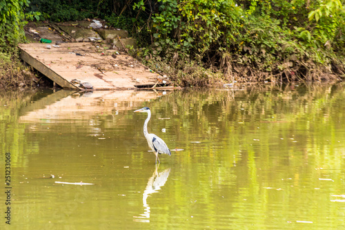 SÃO PAULO - PARQUE DA ACLIMAÇÃO