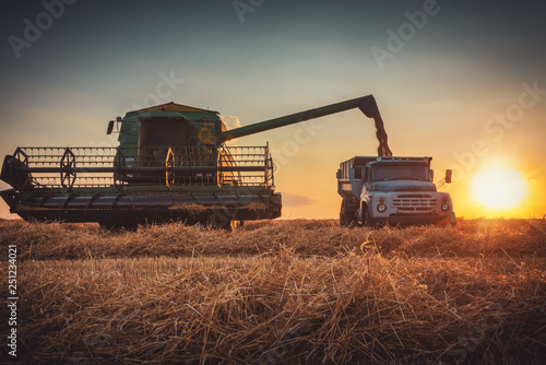 Combine harvester machine working in a wheat field at sunset