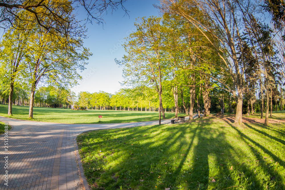 Obraz premium autumn in the park