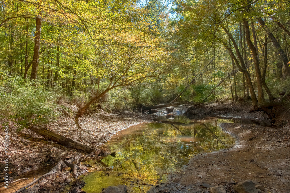 Stream in Mistletoe State Park, Georgia Stream in Mistletoe State Park, Georgia