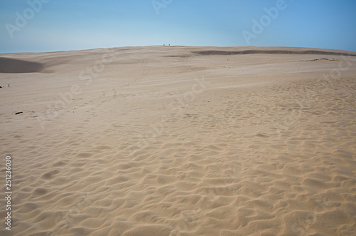 sand dune scenery on baltic sea